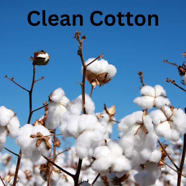 XXX Scented Air Freshener Spray