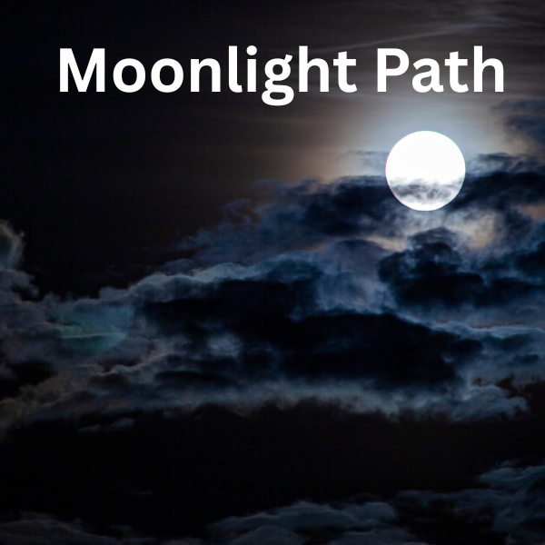 XXX Scented Air Freshener Spray